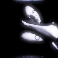 Maria-Astero